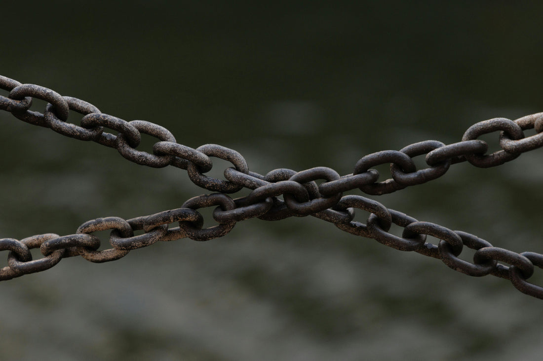 How Do Internal Link Ecosystems Boost Authority?