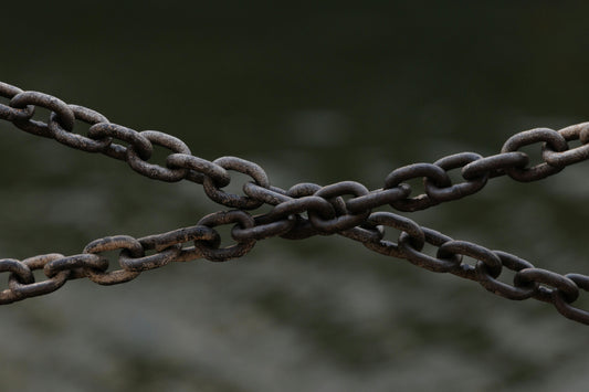 How Do Internal Link Ecosystems Boost Authority?